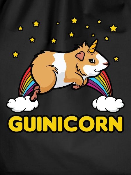 Guinicorn