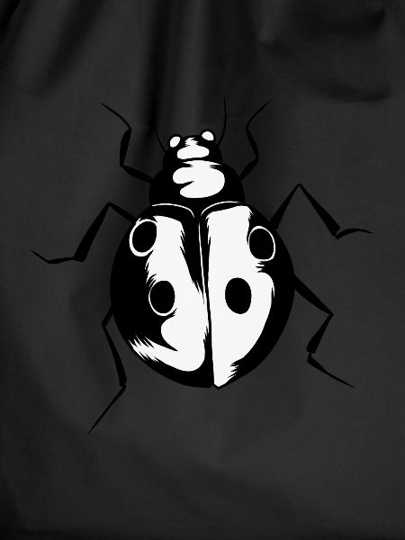 Coccinelle