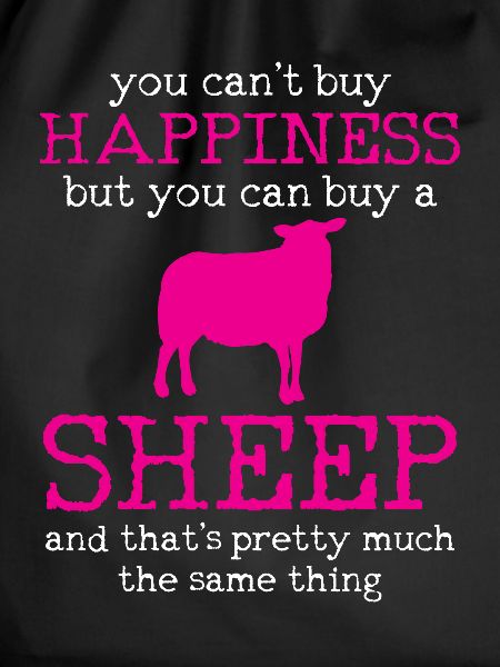sheep