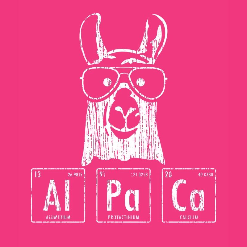 Alpaca LLama