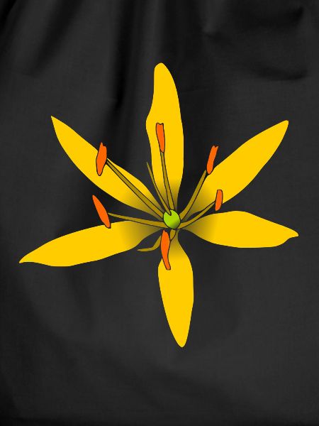 wonderful yellow flower, flower