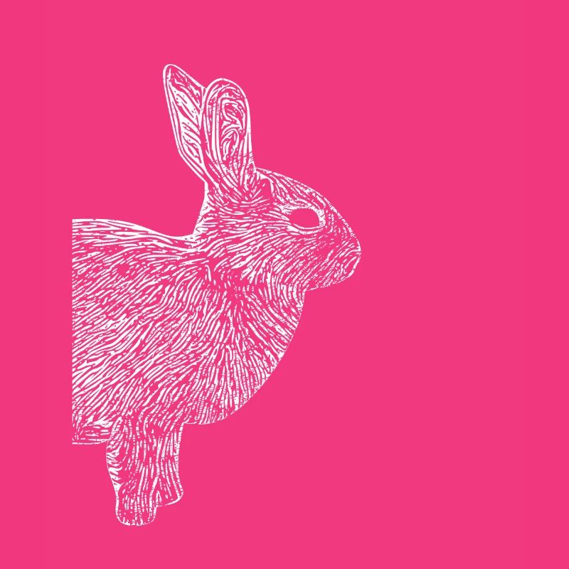 Rabbit Dwarf Rabbit