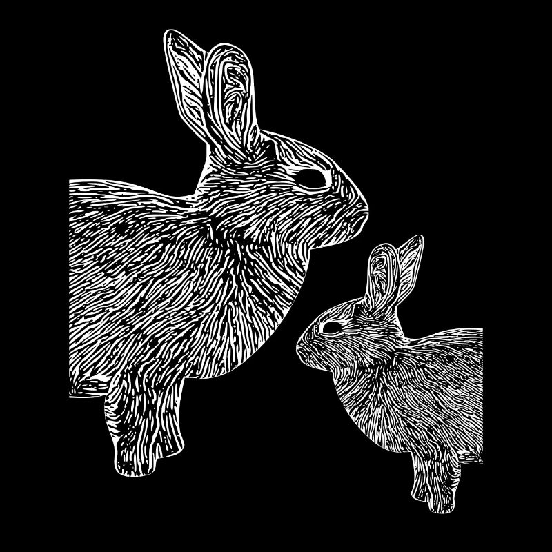 Lapin nain