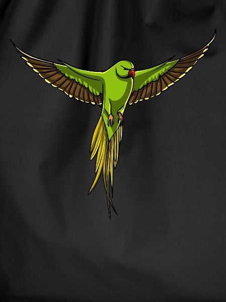 Parrot Parakeet Bird