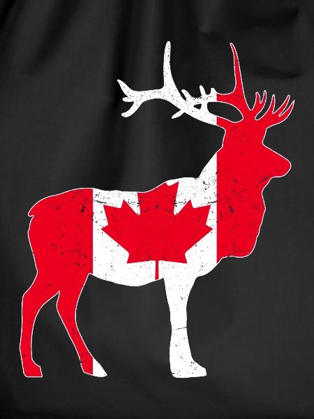 Canadian moose