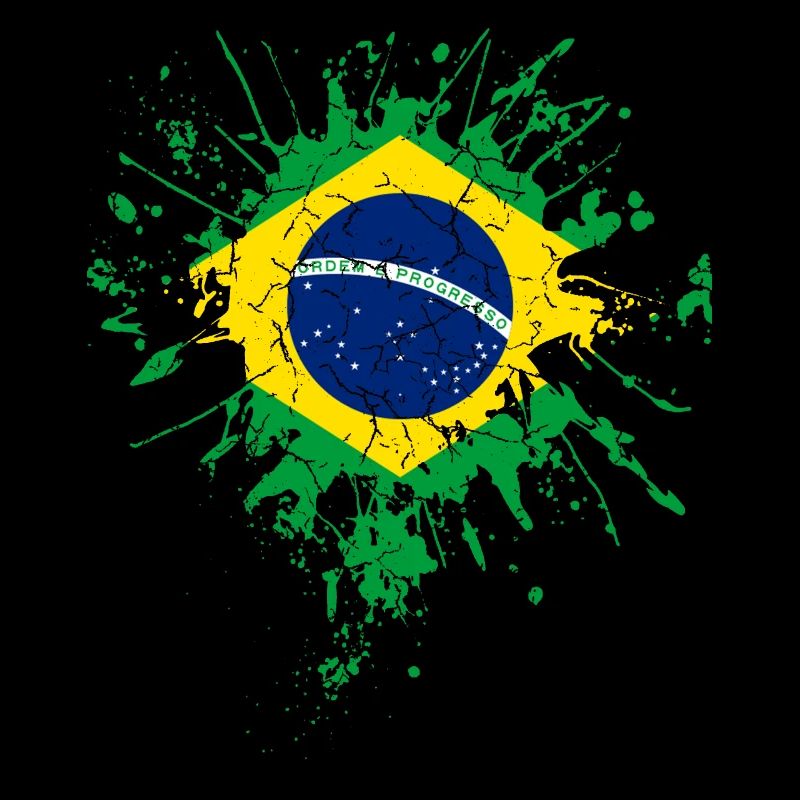 Brazil flag flag