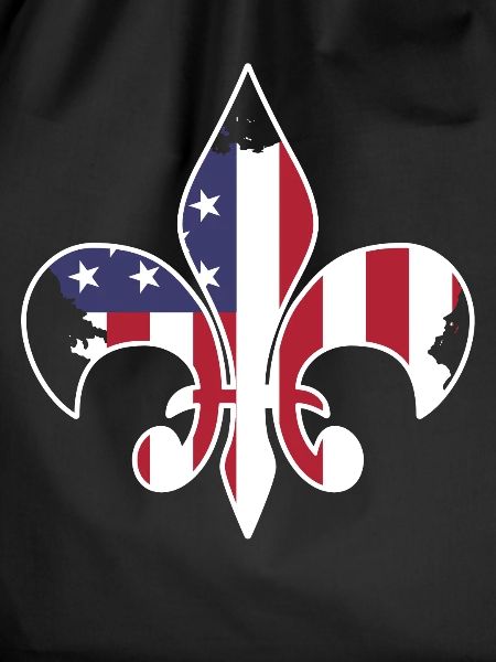 Scouting USA flag