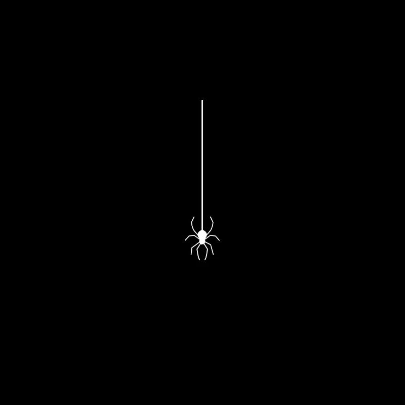 Spider on the thread