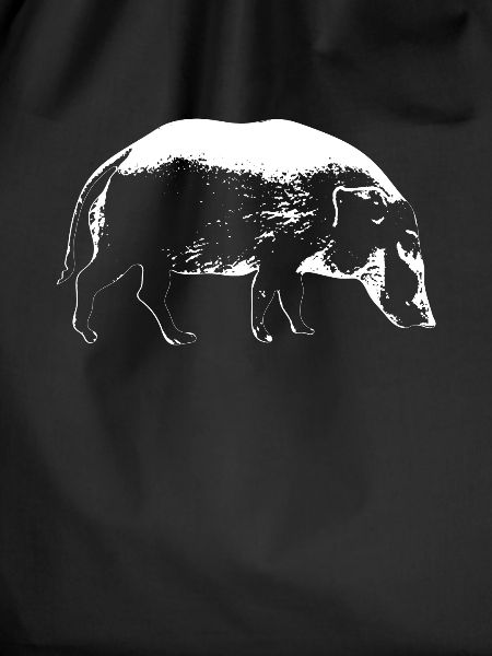 Booby pig Boar boar