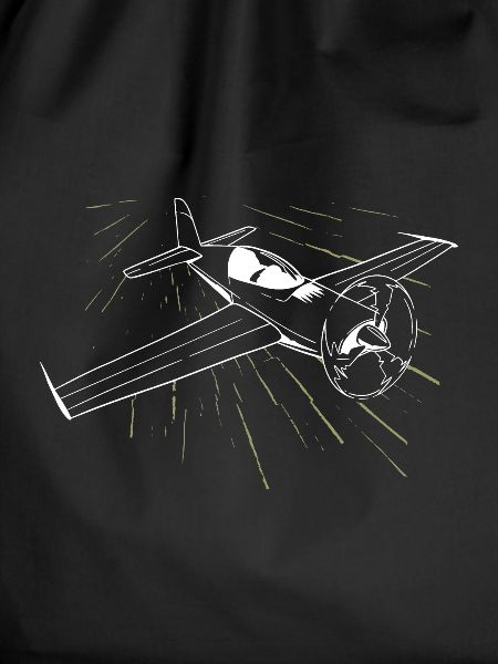 Airplane flying pilot airfield
