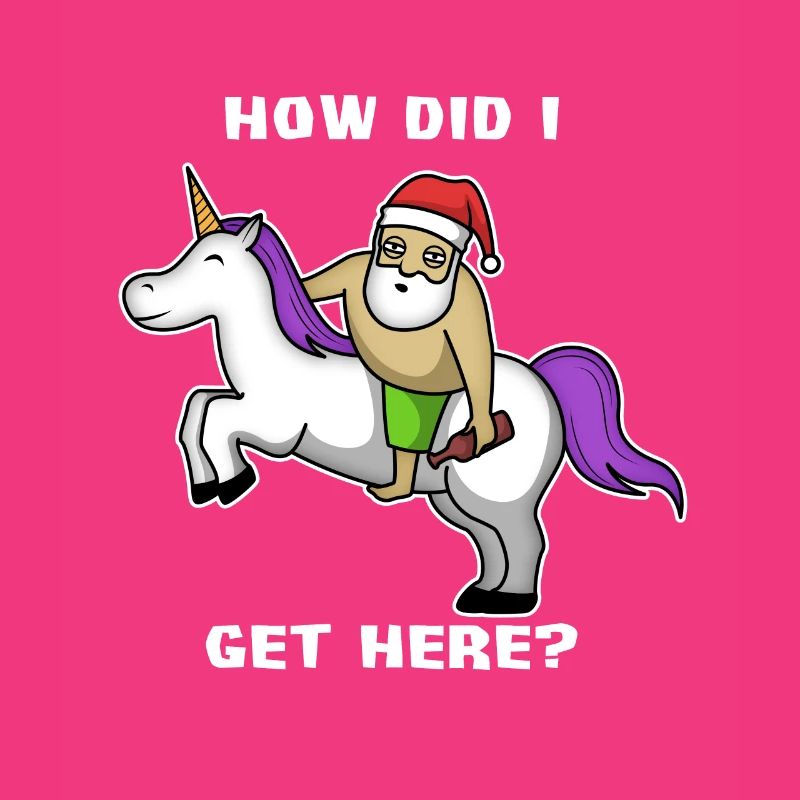 Weihnachtsmann Bier Einhorn bin ich hergekommen