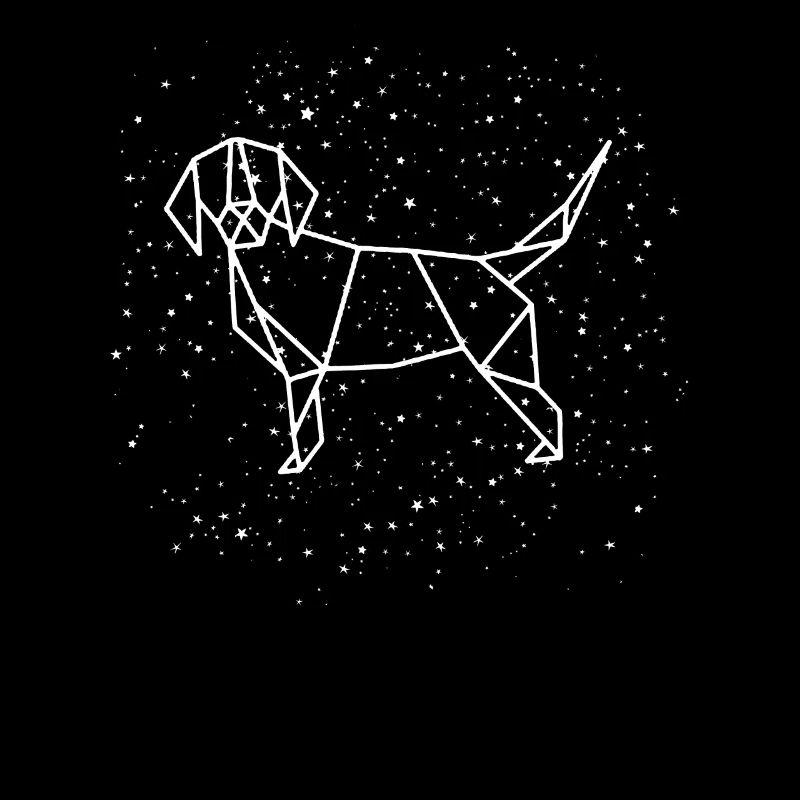 Hund Chinesisches Sternzeichen