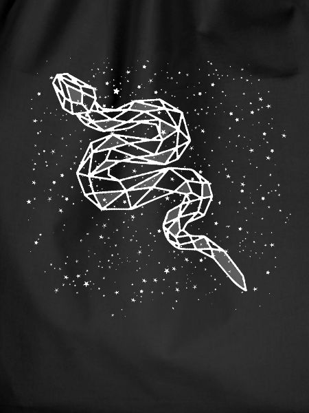 Snake chinese zodiac