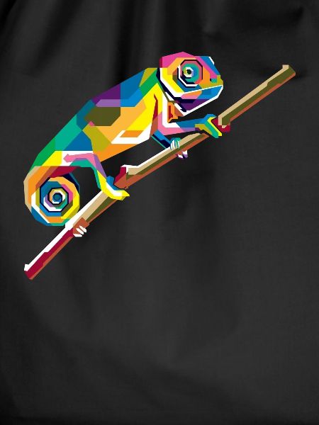 Chameleon animal