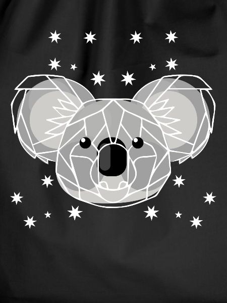 Koala Australien