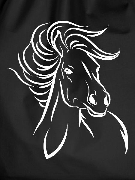 Horse horse