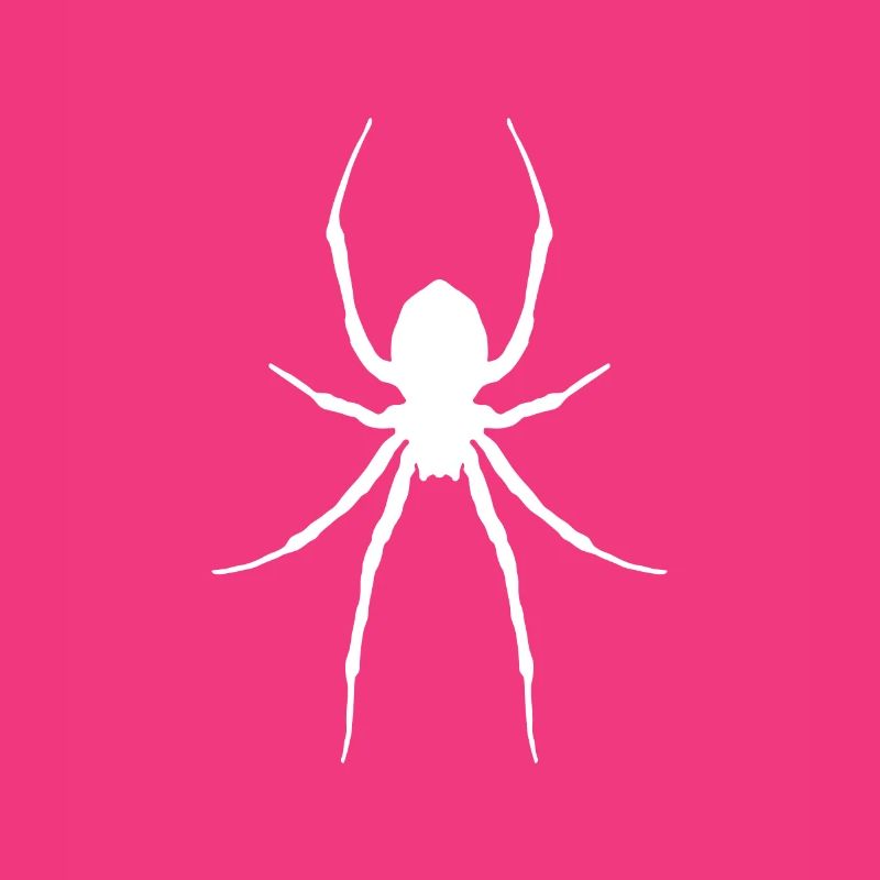 spider