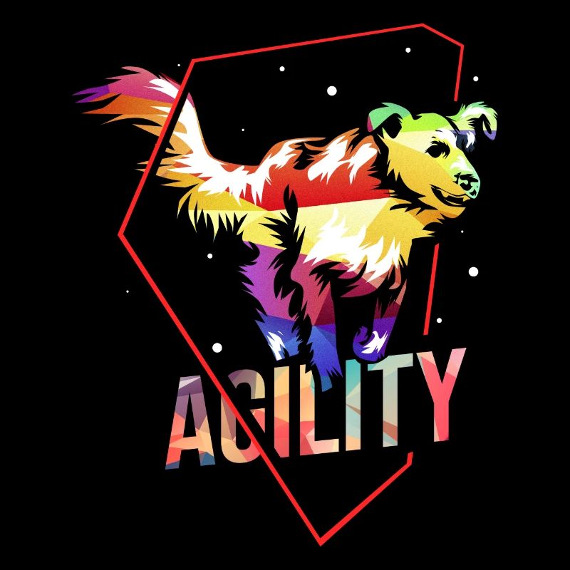 Hunde Agility