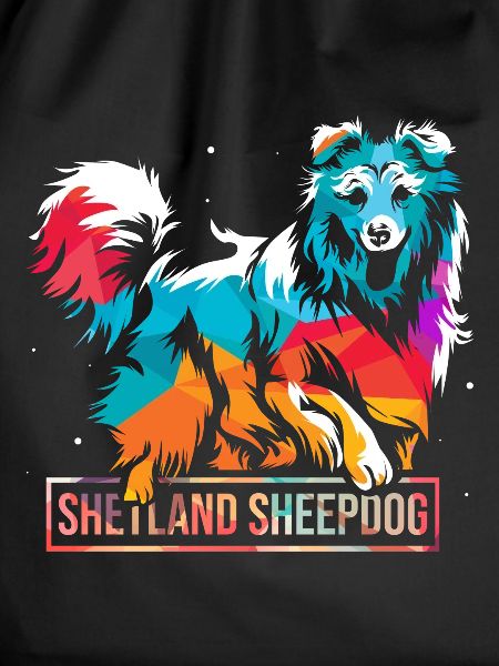 Shetland sheepdog