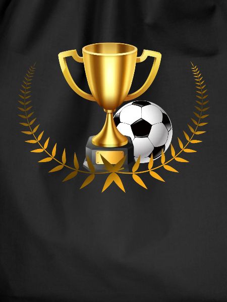 Cup winner soccer team