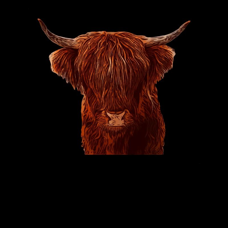 Hochland Rind Highland Cattle