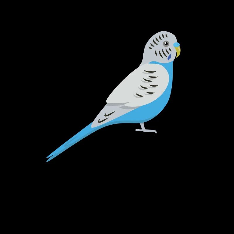 Budgie