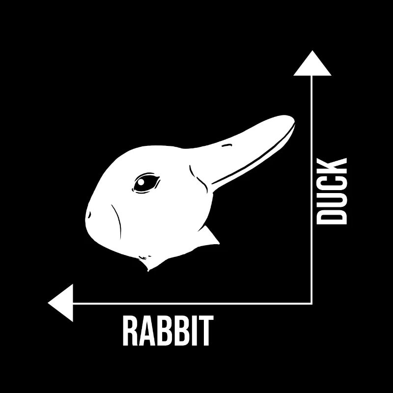 Illusion d'optique lapin canard illusion