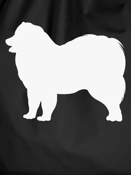 Samoyed