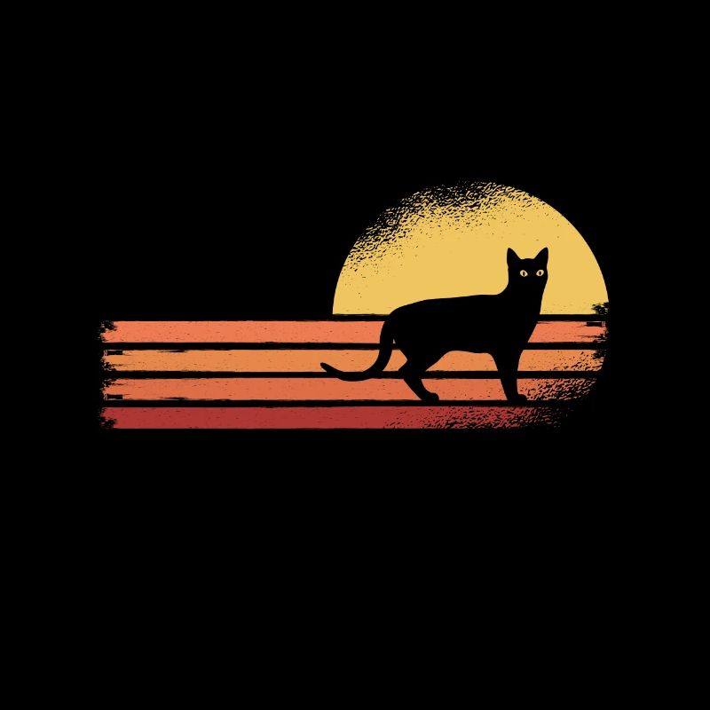 Black cat
