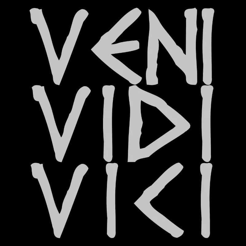 VENI VIDI VICI