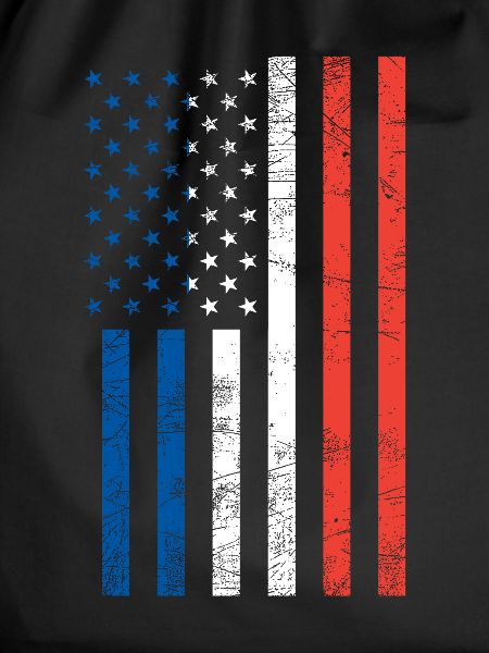 American French flag