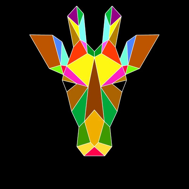 Giraffengeometrie