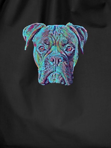 Boxer Funny