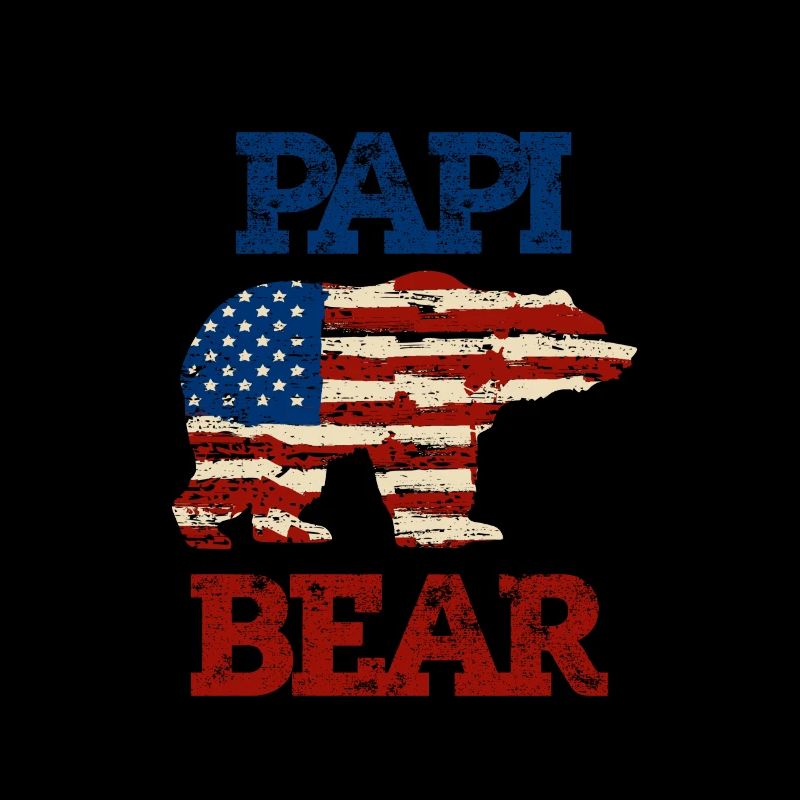 Rainbow PAPI Shirt, Retro PAPI, PAPI Sunset, PAPI