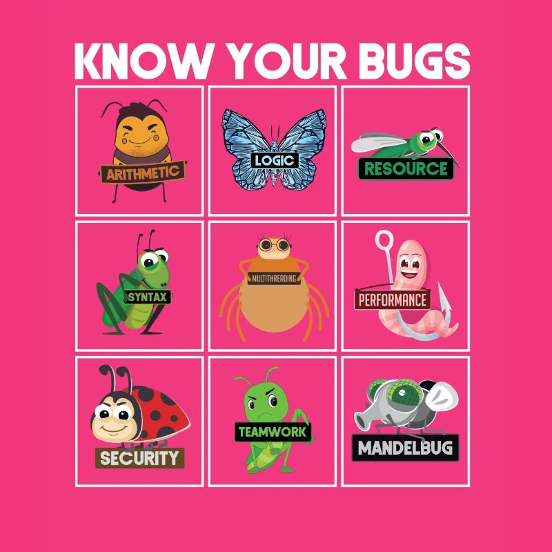 Know Your Bugs Programmer Coding