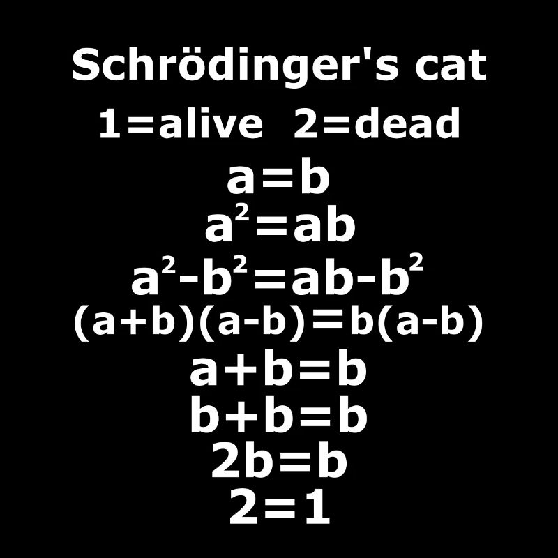 Schrödinger’s chat physique Geek prof sort