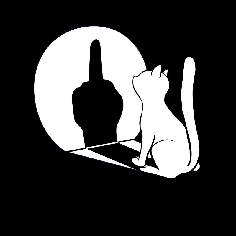 Middle finger cats shadow