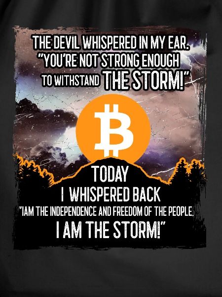 Bitcoin Storm