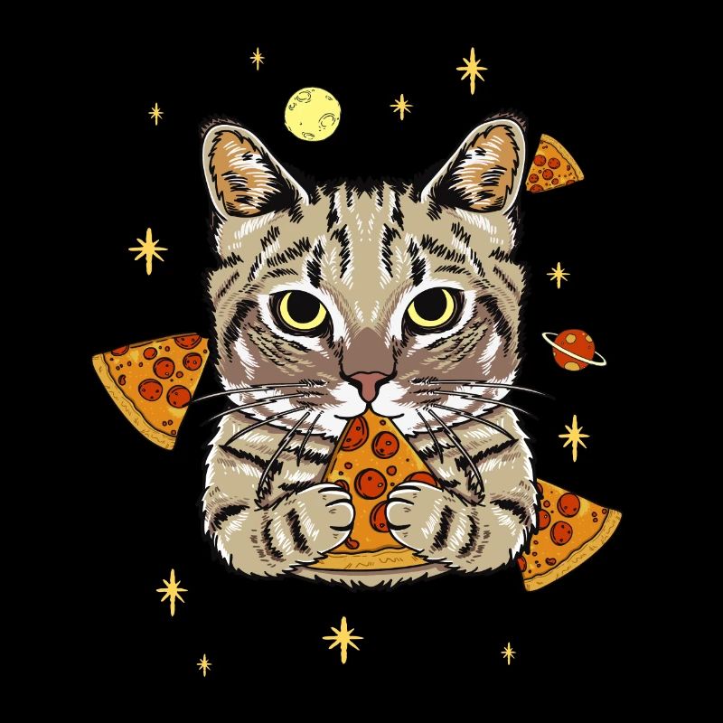 Drôle de pizza chat dans l’espace Fun