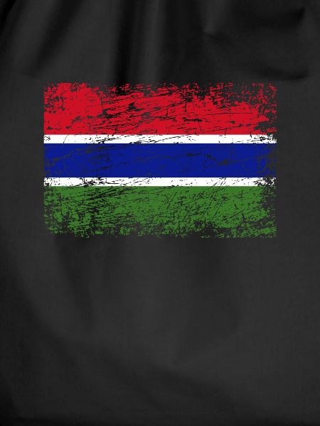 Gambia Gambian Flag Flag