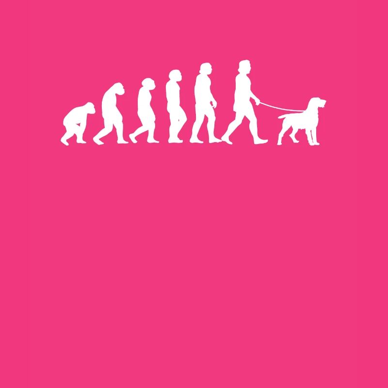 Deutsch Drahthaar Evolution Drahthaar Geschenk