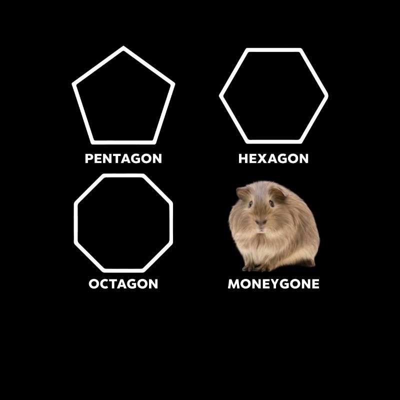Pentagone Hexagon Octagon Moneygone Hamster
