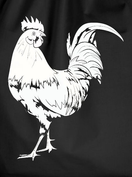 Rooster Chicken Rooster