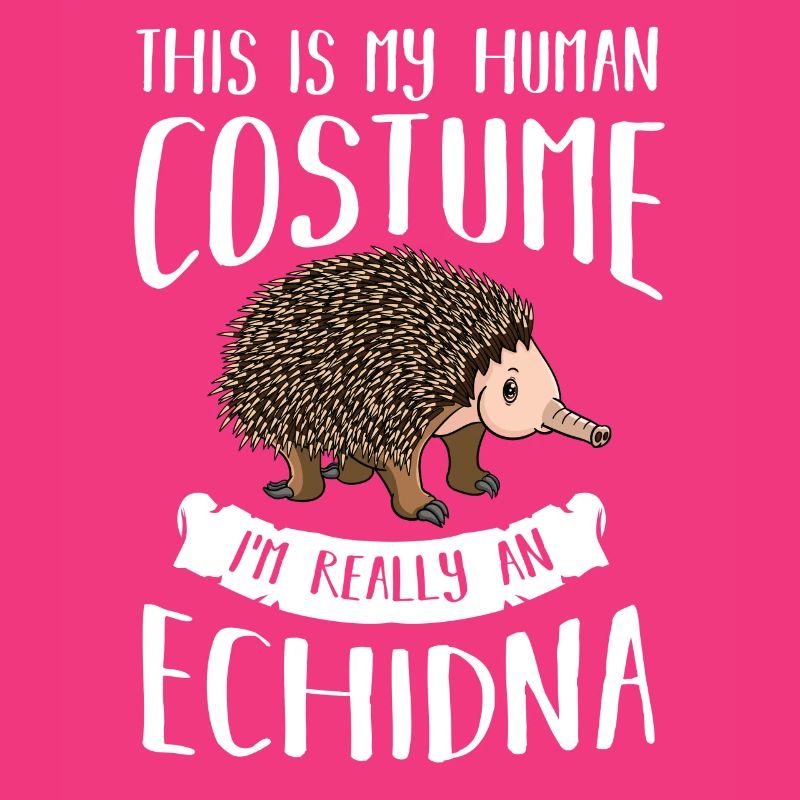 Echidna Ant Hedgehog Funny Hedgehog