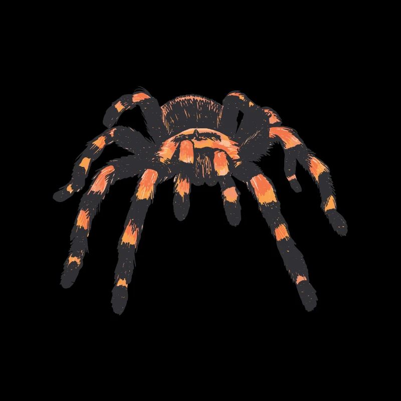 Tarantula spider spiders