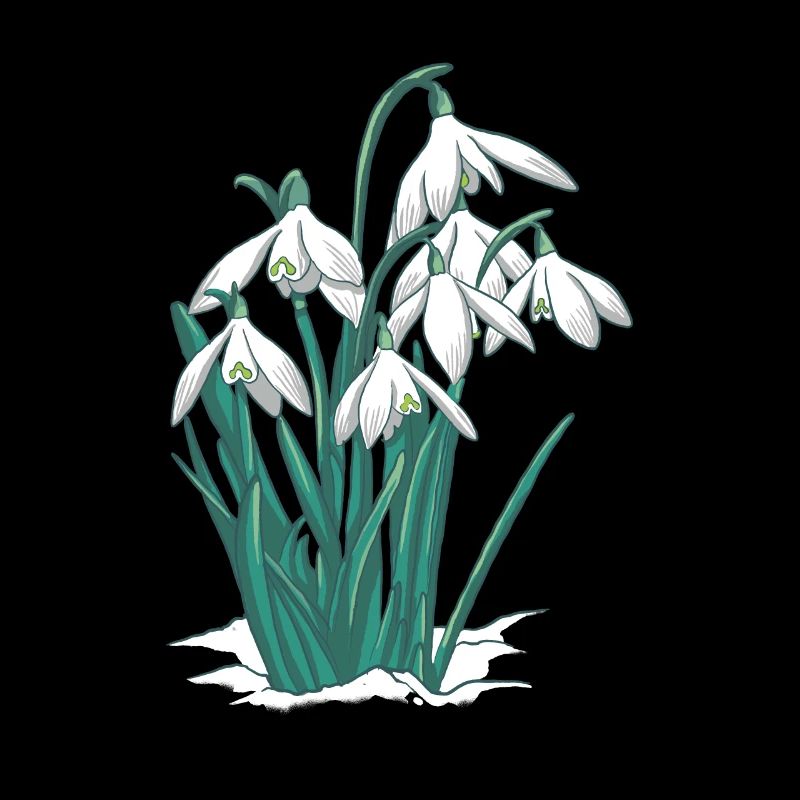 Snowdrops flowers plants