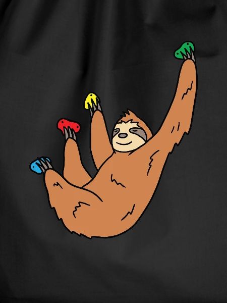 Sloth Climbing Gift