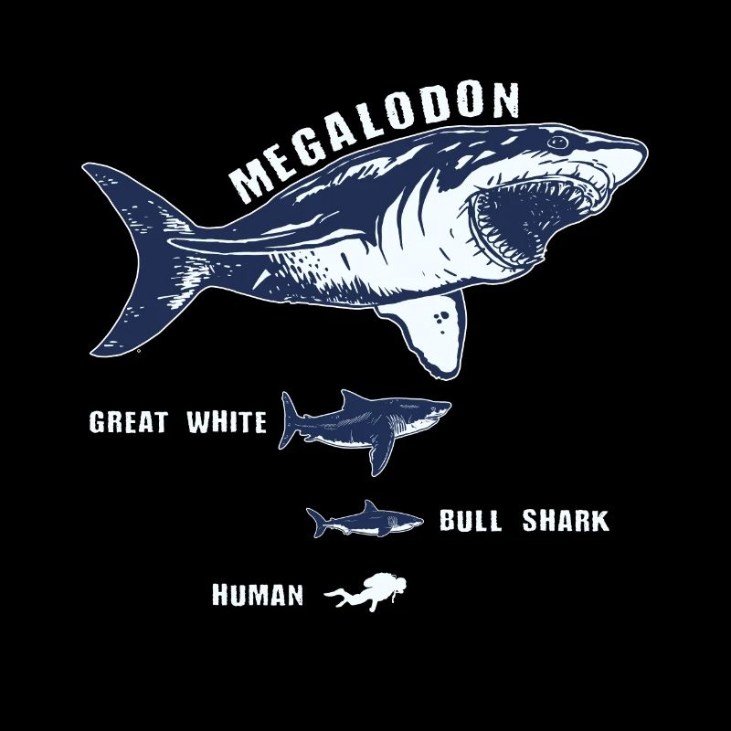 Megalodon Basking Shark Great White Shark Bull Shark Diver
