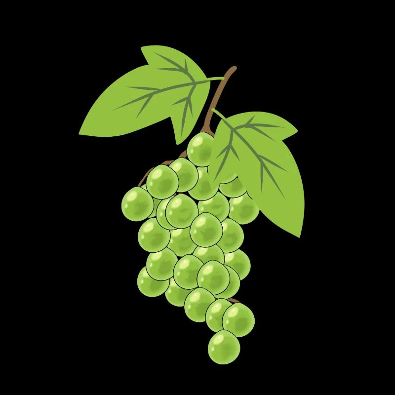 Grapes Grapes Hobby gardeners Harvest Grapevine