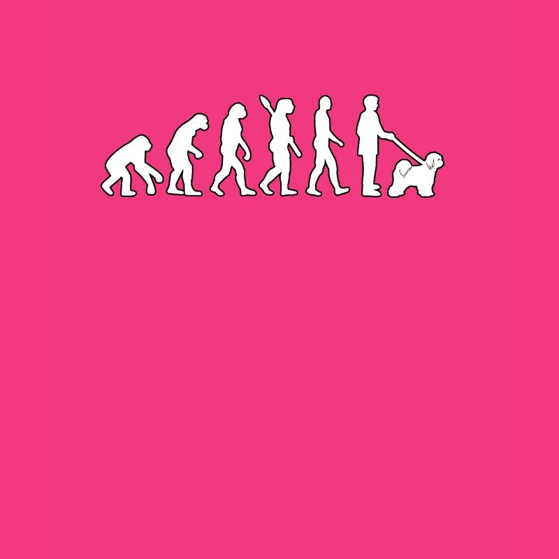 Tibet Terrier Evolution